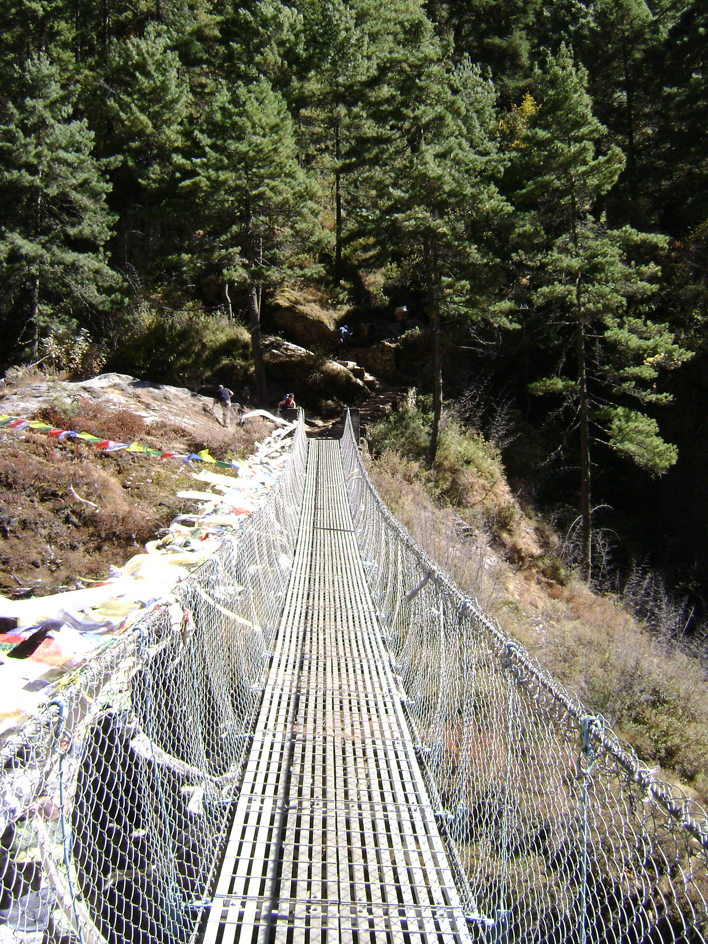 Hängebrücke mit Gebetsfahnen im Wald