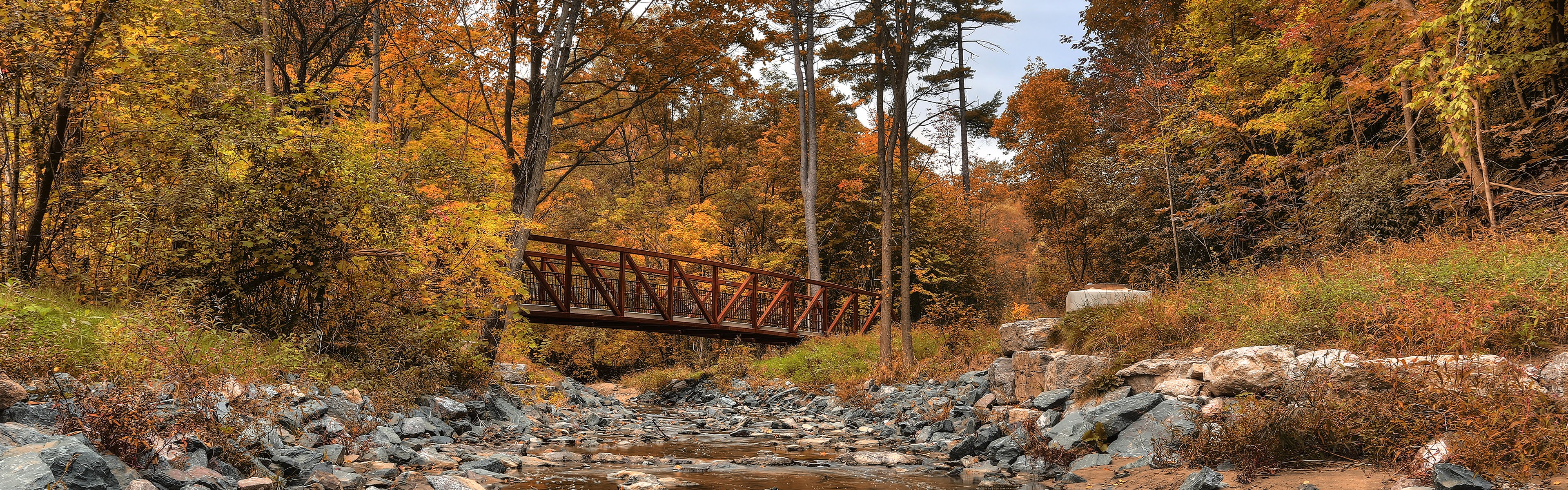 Holzbrücke in herbstlichem Wald